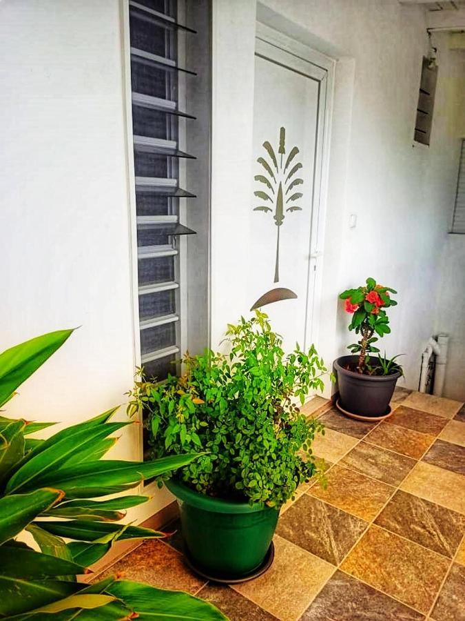 Ferienwohnung Le Balisier Saint-Francois  Exterior foto